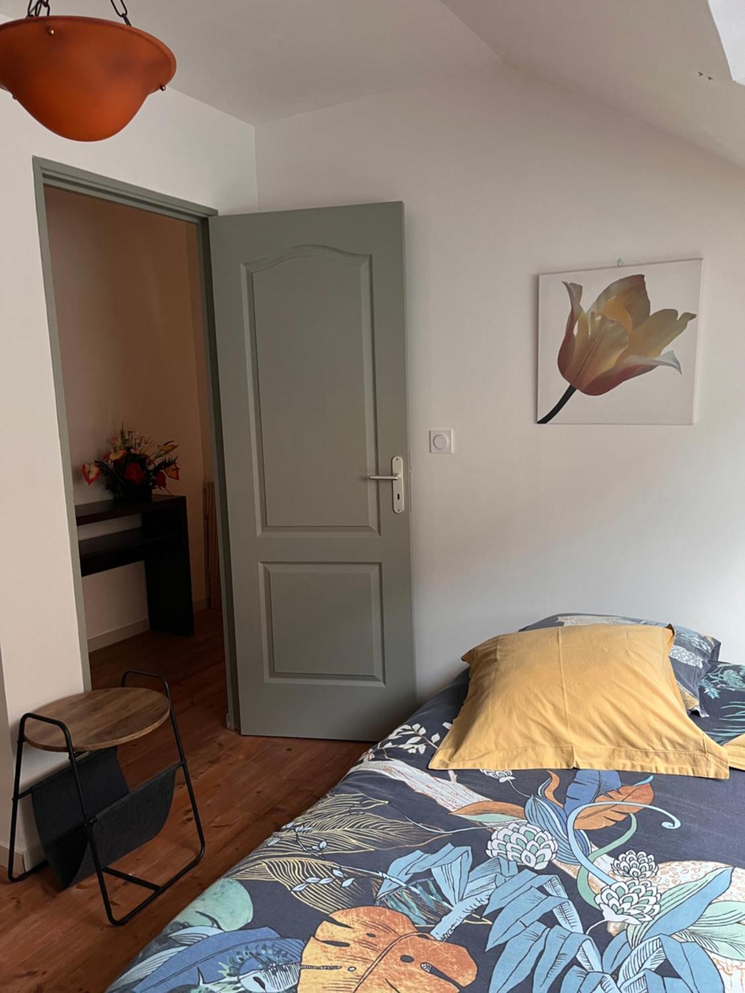 弗雷埃勒Duplex Terrasse公寓 外观 照片